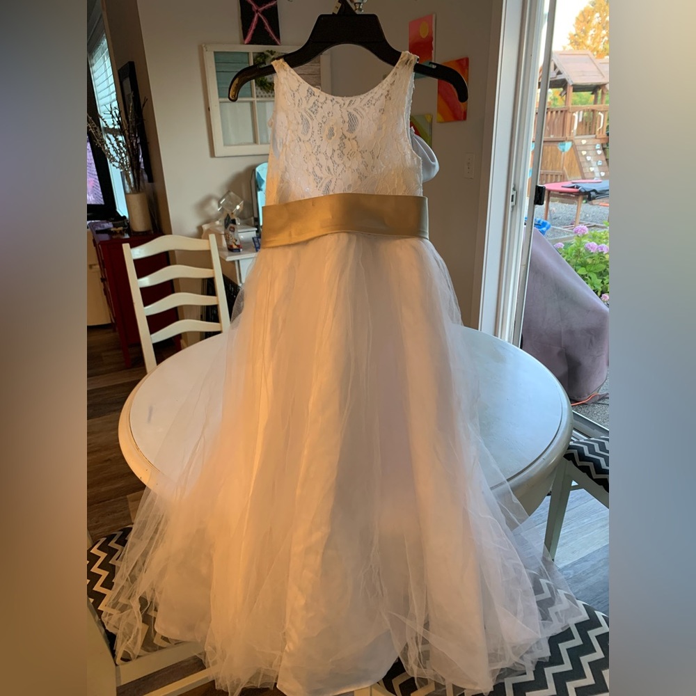LanTing dress small